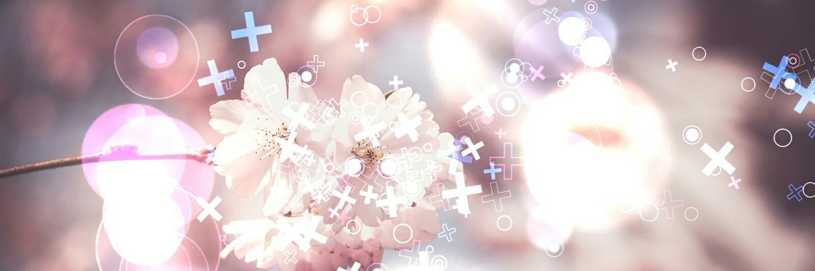 ankitrishabh403's profile banner image