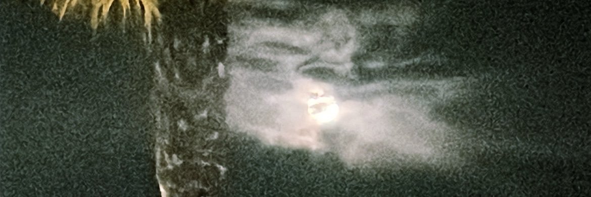 kkayblunts's profile banner image