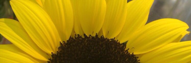 fefesg_'s profile banner image
