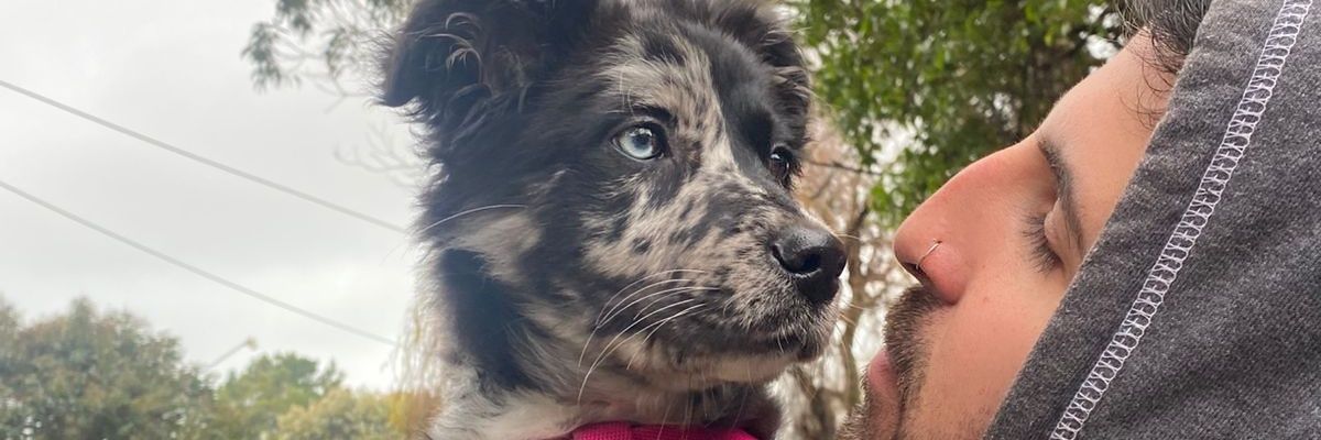 AlexisForte94's profile banner image