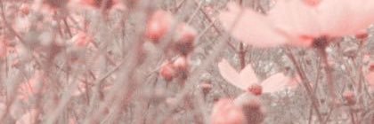 akram_alaa's profile banner image