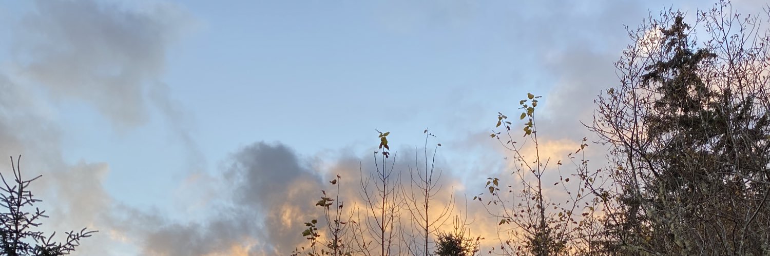 kuupiak's profile banner image