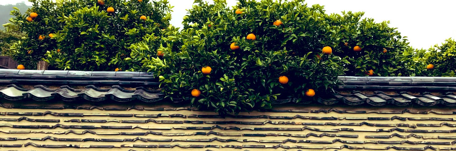 they_bon's profile banner image