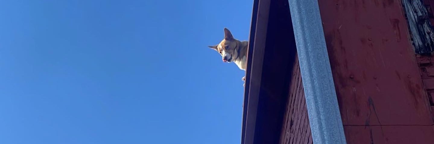 emariee23's profile banner image