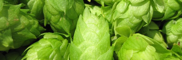 Chilliwack Hop Farms banner