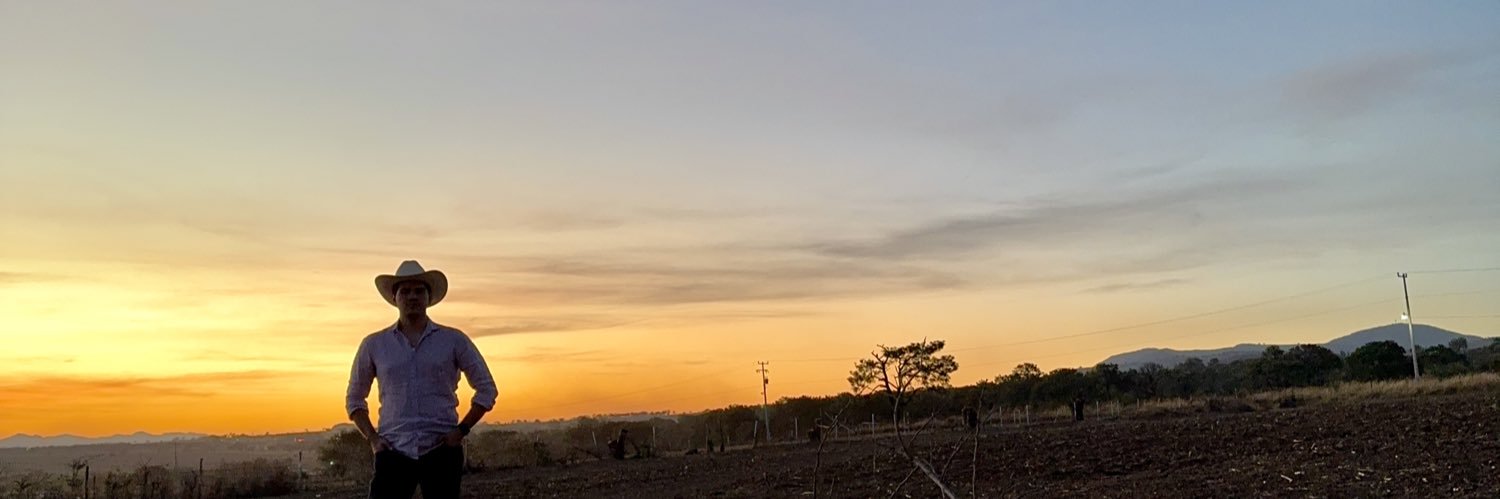 robertoabmo's profile banner image