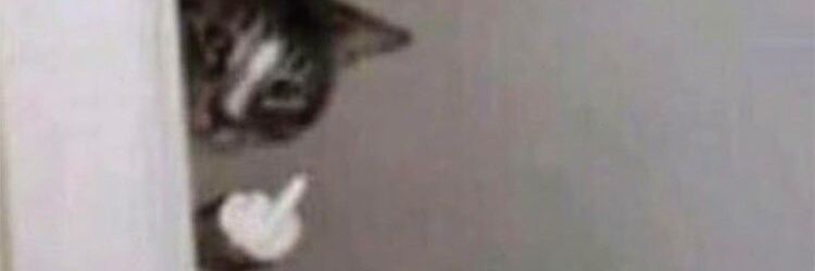HardAct2Follow_'s profile banner image