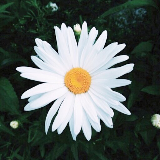SarahZbacnik's profile banner image