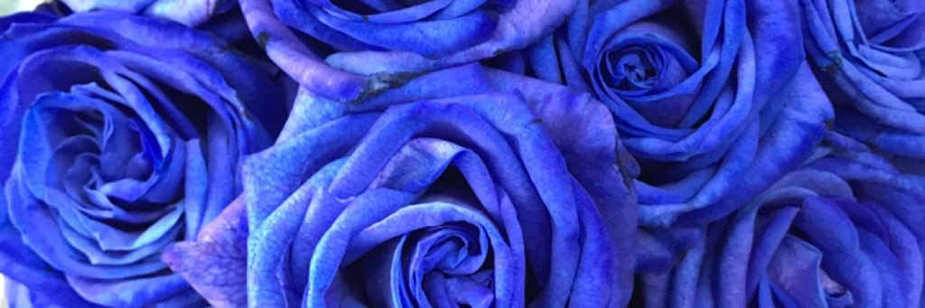 Aho0ode's profile banner image
