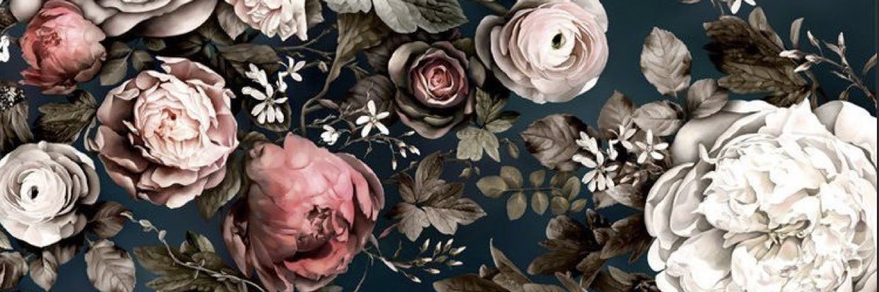 ashhswitzer's profile banner image
