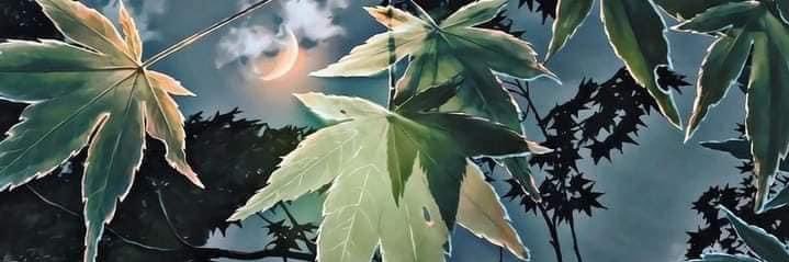 sincerelyxbree's profile banner image