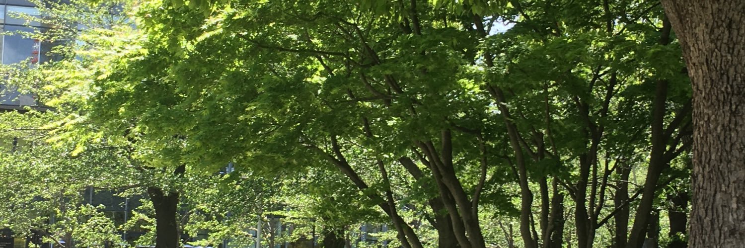 onepinee's profile banner image