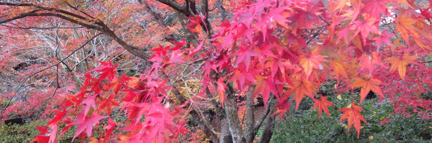 ryu_redleaves's profile banner image