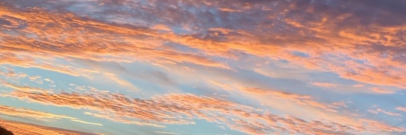 Baby_Basler's profile banner image