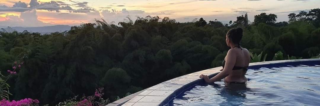 ariaskaren_'s profile banner image
