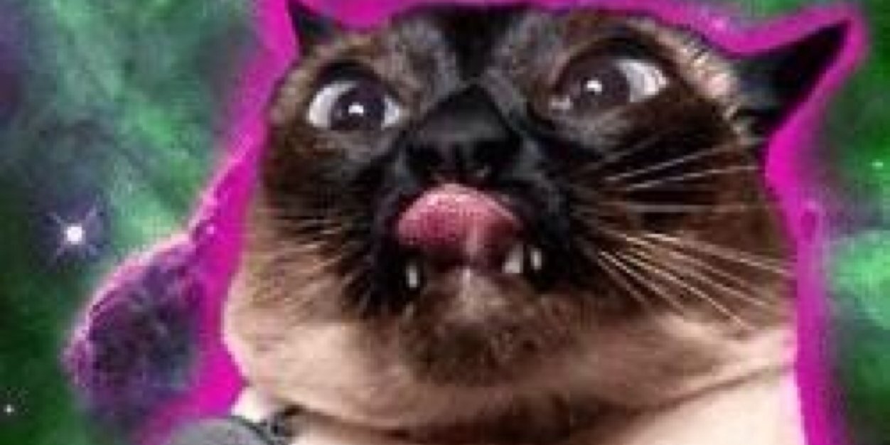 dalpal15betch's profile banner image