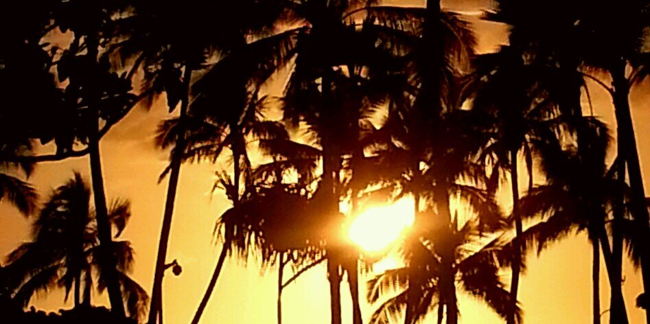 Samlund11's profile banner image