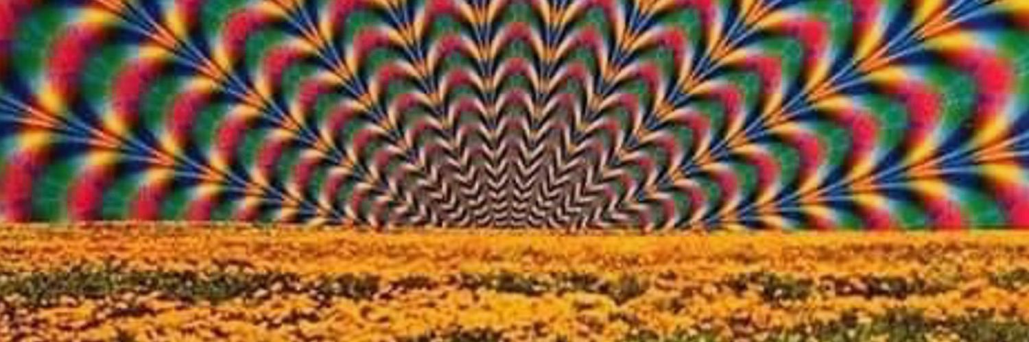 Manuel Guevara banner