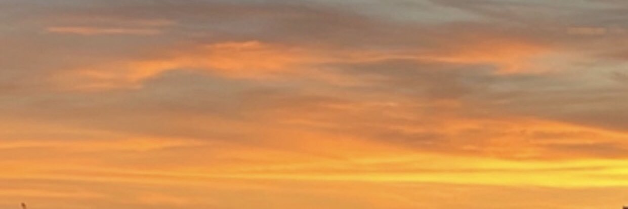 MirandaCorral's profile banner image