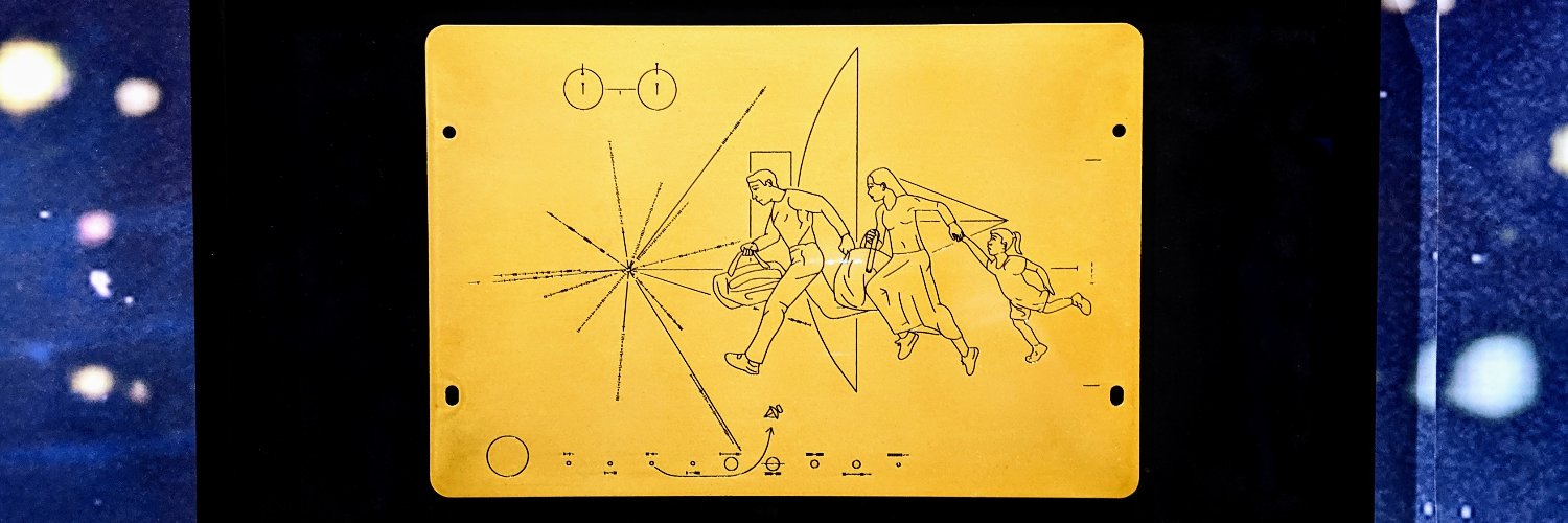 David Weigend banner