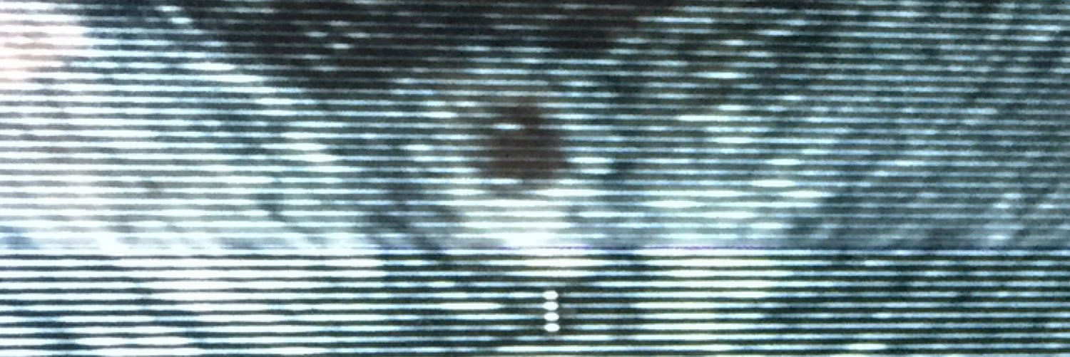 obgynflores's profile banner image