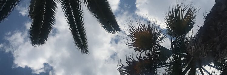 RaveLights_'s profile banner image