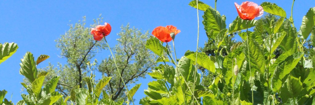 BrendaStrachan's profile banner image