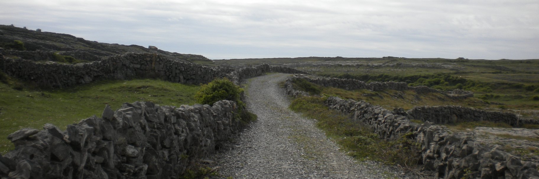 Katelyn Preston, PT, DPT banner