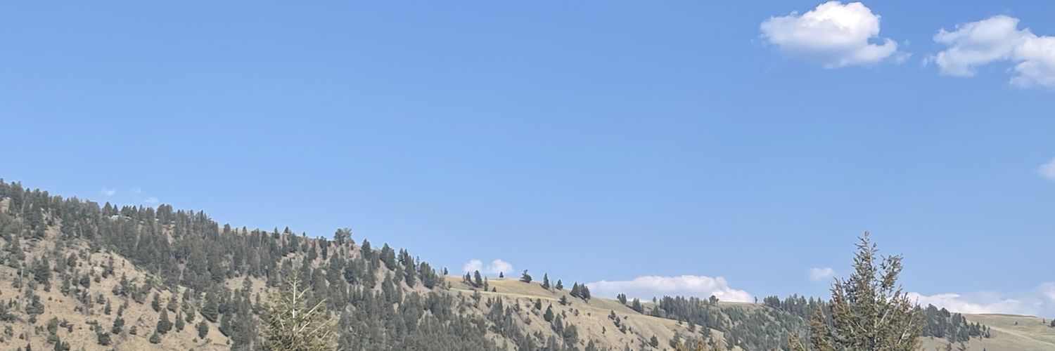 shay_baller2's profile banner image