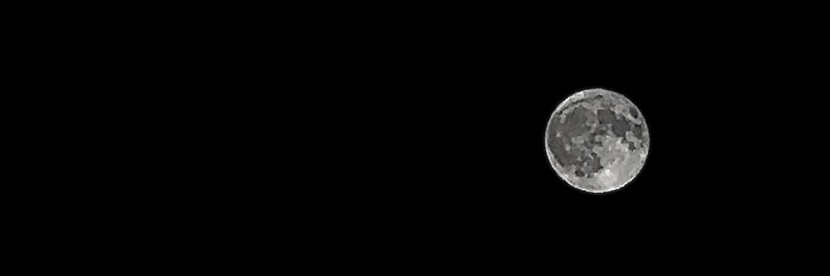 eIbeees's profile banner image