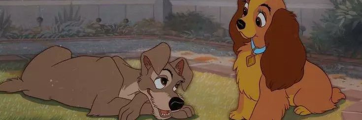 natykress's profile banner image
