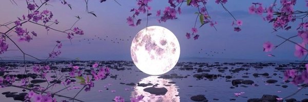 JasminFoxe Profile Banner