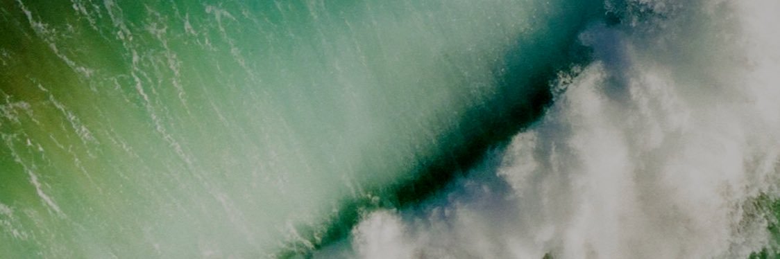 dianacsf_'s profile banner image
