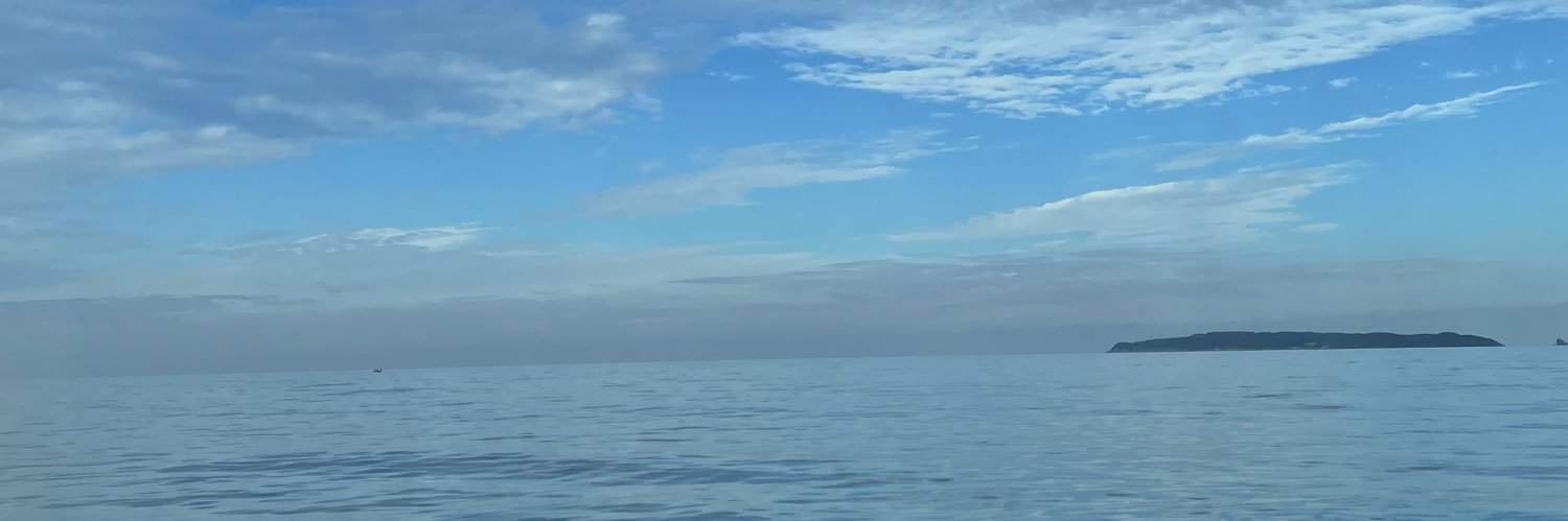 morikkusan3's profile banner image