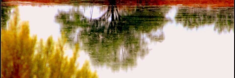 schid7Lisa's profile banner image