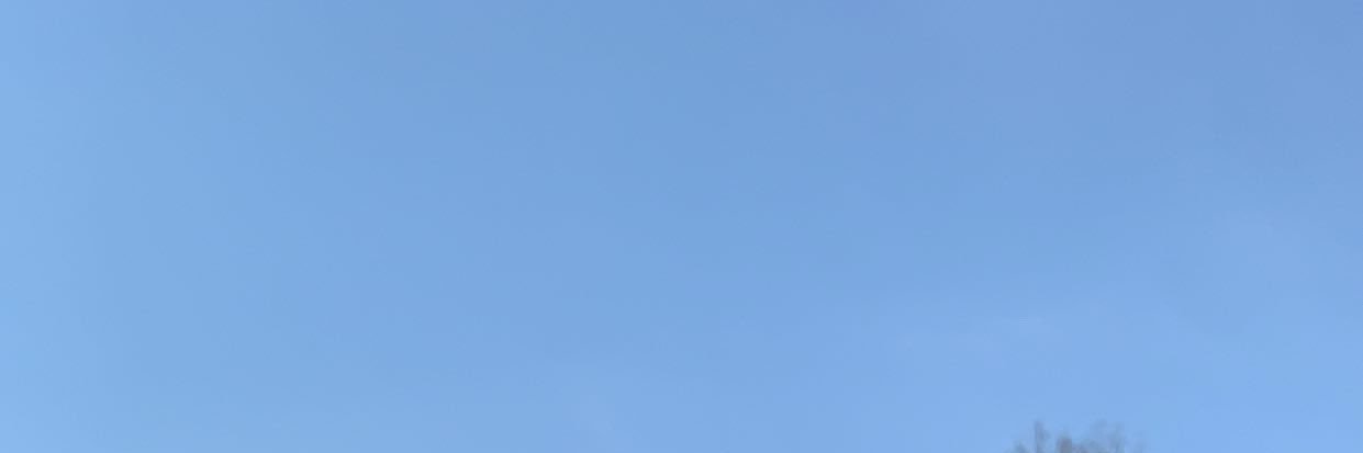 bro banner
