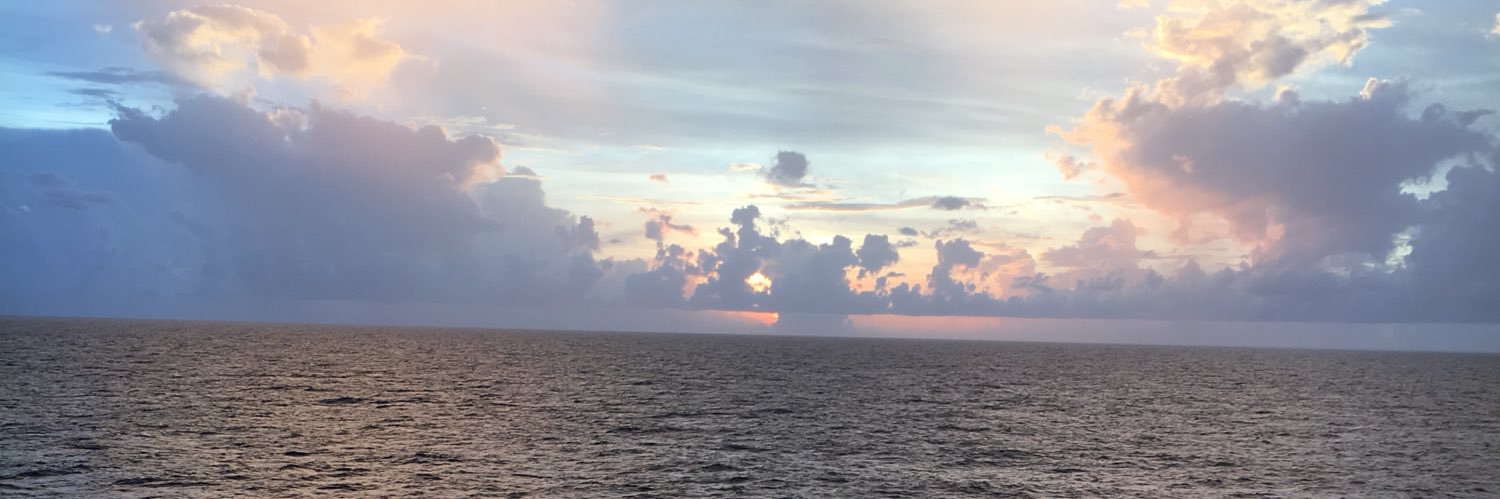 M3ganRa3's profile banner image