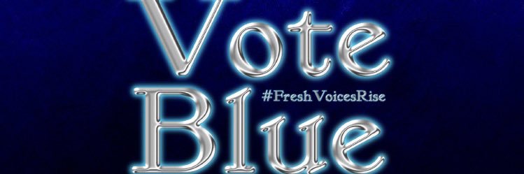 VoteblueW's profile banner image