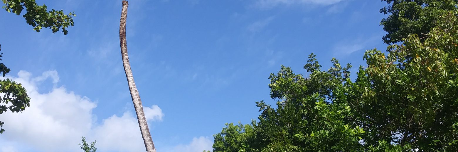 abarick12's profile banner image