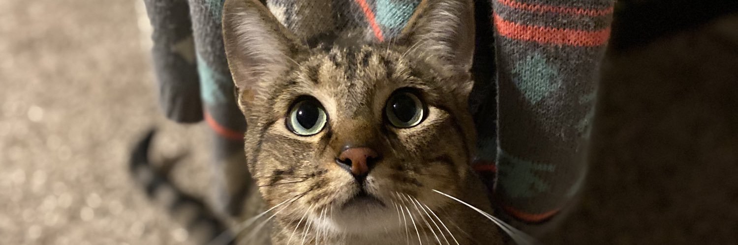 thespice17's profile banner image