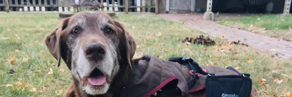 Delanie_Couch's profile banner image