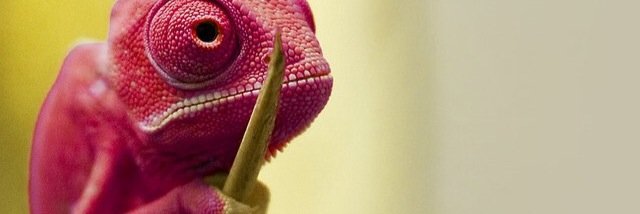 IanCamilon's profile banner image