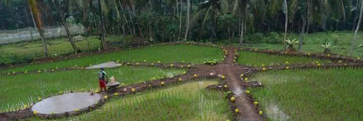 AnaAnanilasari's profile banner image