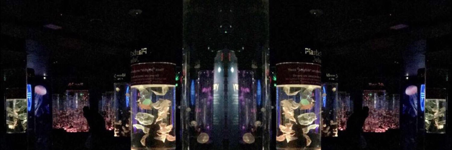 MrSunnyDae's profile banner image