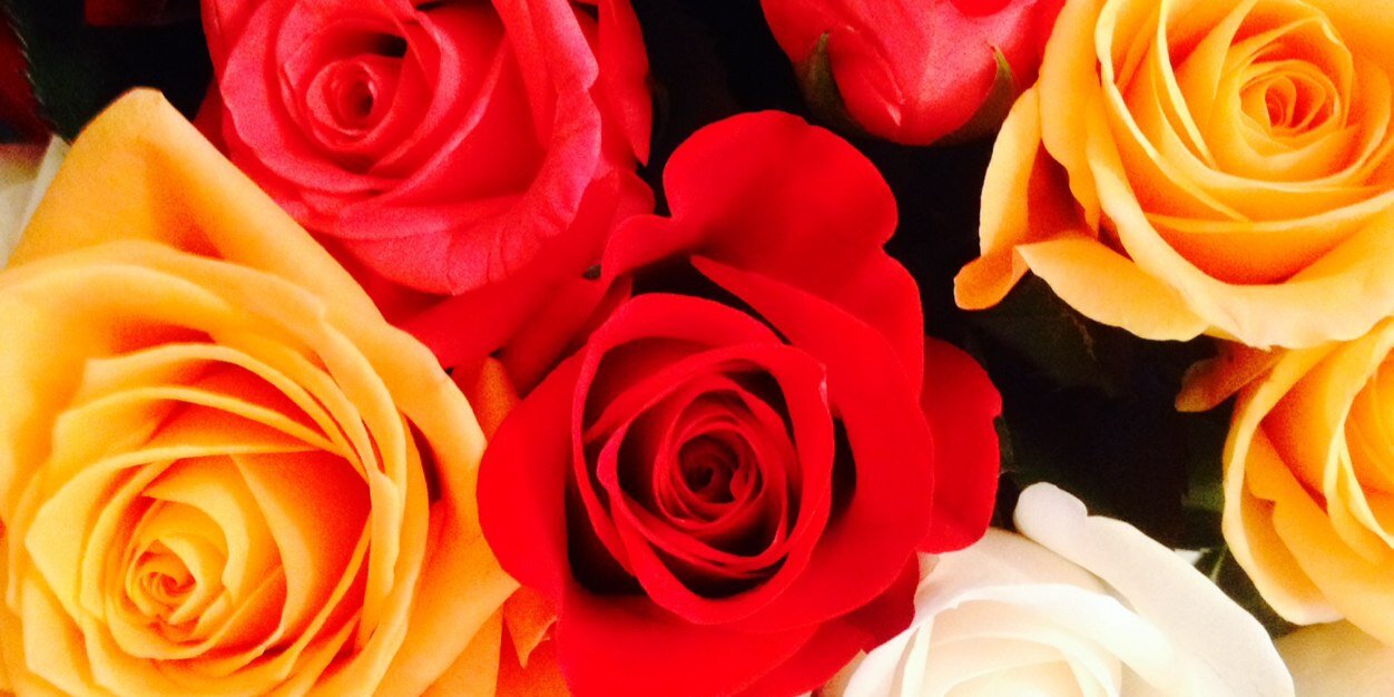 NikkiAEdwards's profile banner image