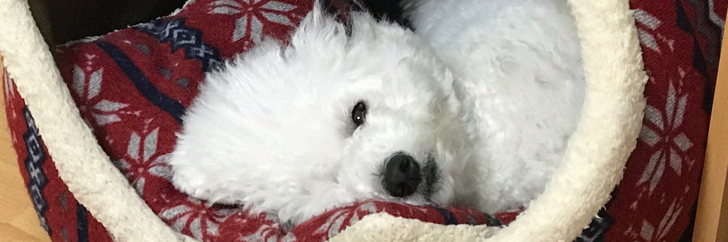 xsnowyk's profile banner image