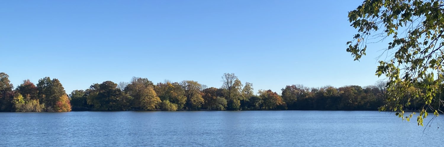 chfairey's profile banner image