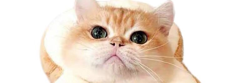 Zap_Beeblebrox's profile banner image