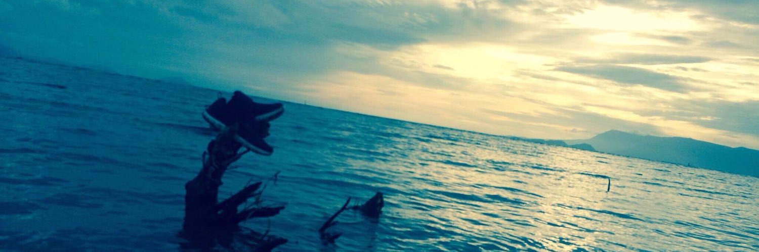 ZX_Dee's profile banner image