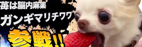 kojima_dayoooo's profile banner image